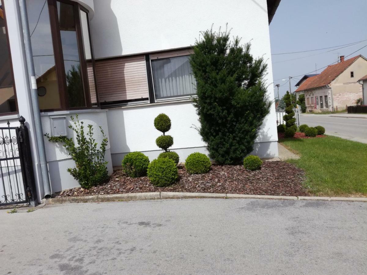 Apartmani Oletic 4* Sveti Martin Na Muri Exterior foto